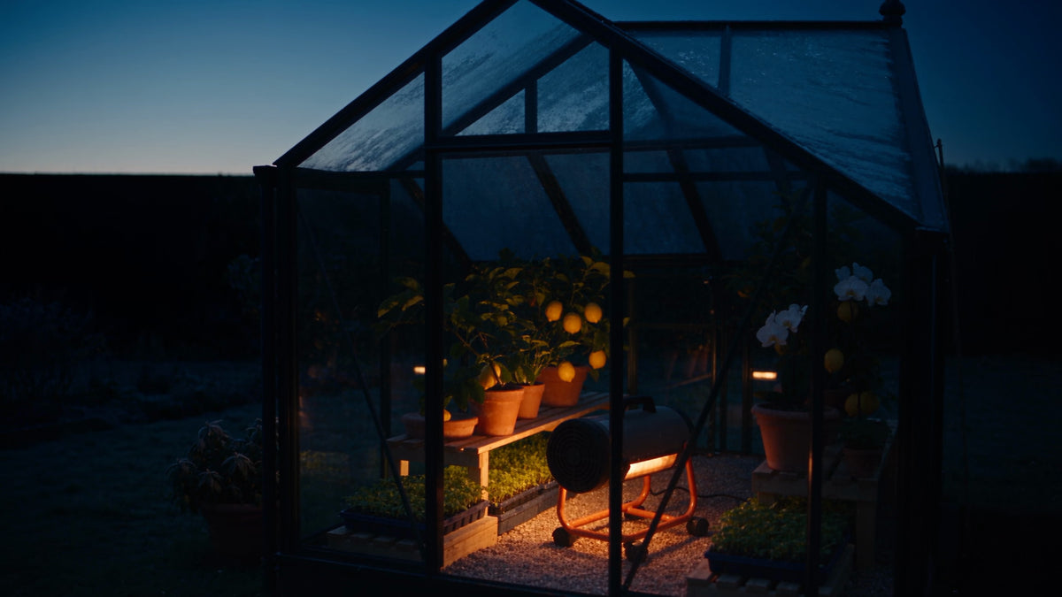 Illustrative image: a glass greenhouse at dusk with the Kanopi heater, a matte black round drum in a low orange tubular cradle, glowing on the floor beside benches of seedlings and potted citrus.