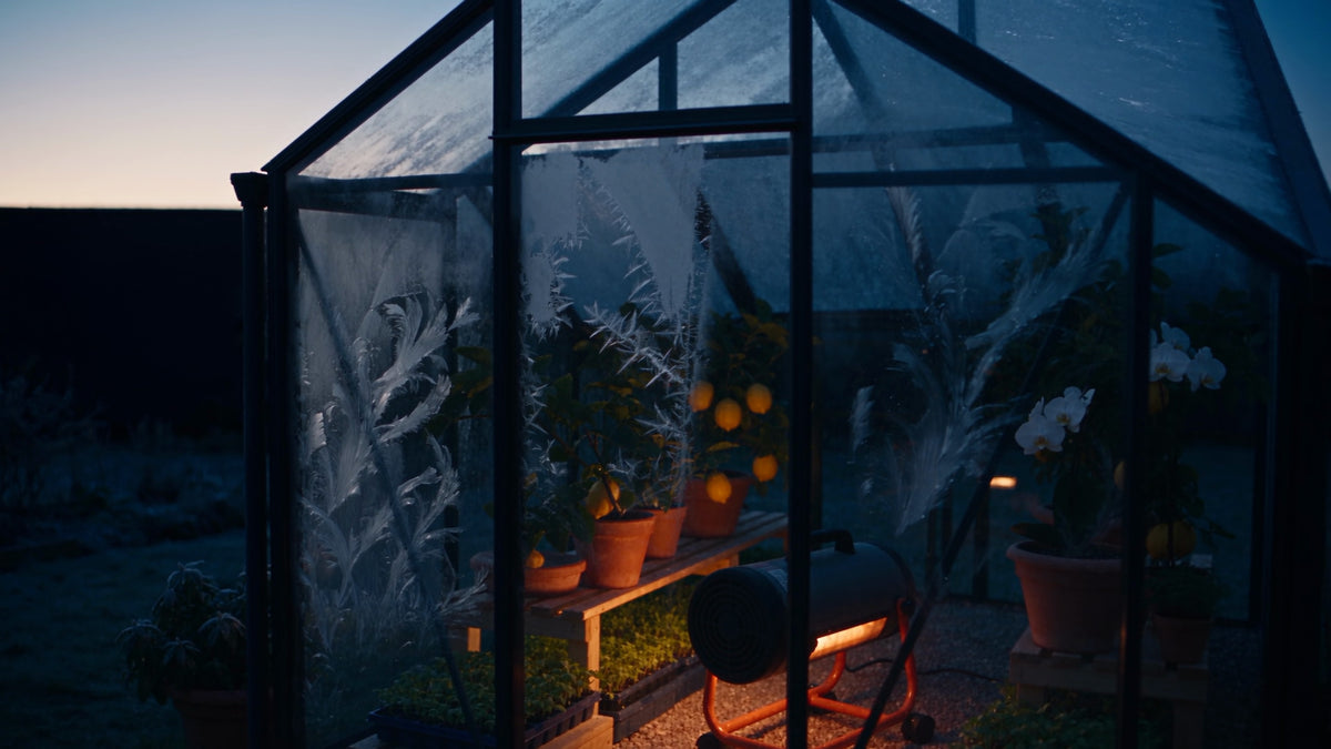 Illustrative image: frost patterns on greenhouse glass on a cold night, with the Kanopi heater, a black drum in an orange cradle, glowing inside among citrus, orchids and seedlings.
